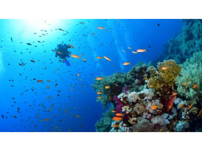 KAHİRE & SHARM EL SHEIKH TURU Pegasus Havayolları ile 6 gece