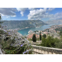  Pegasus Hava Yolları ile Grand Orta Avrupa & Hallstatt ve Salzburg Turu 