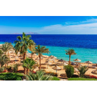 ANKARA ÇIKIŞLI SHARM EL SHEİKH (VİZESİZ)